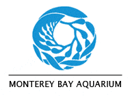 Monterey Bay Aquarium